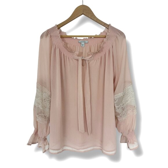 Boston Proper Pink Semi-Sheer Tie-Neck Chiffon Blouse Size 8 M Top Shirt‎ Tunic - Picture 1 of 8